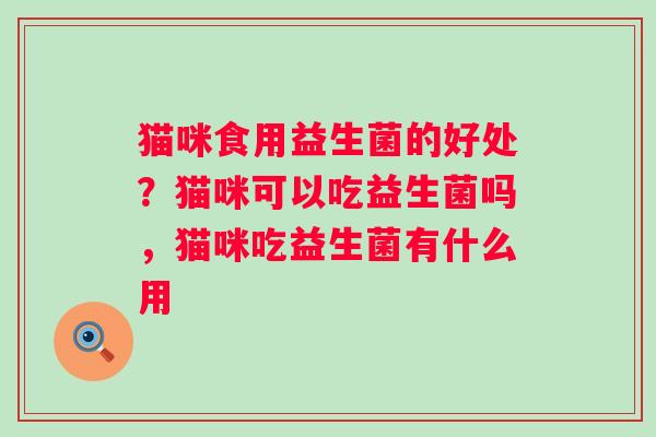 猫咪食用益生菌的好处？猫咪可以吃益生菌吗，猫咪吃益生菌有什么用