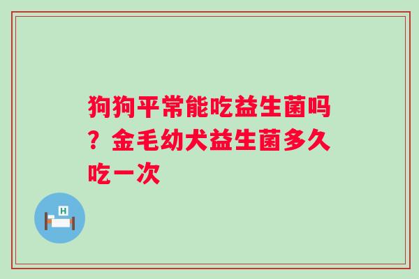 狗狗平常能吃益生菌吗？金毛幼犬益生菌多久吃一次