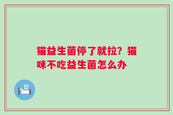 猫益生菌停了就拉？猫咪不吃益生菌怎么办