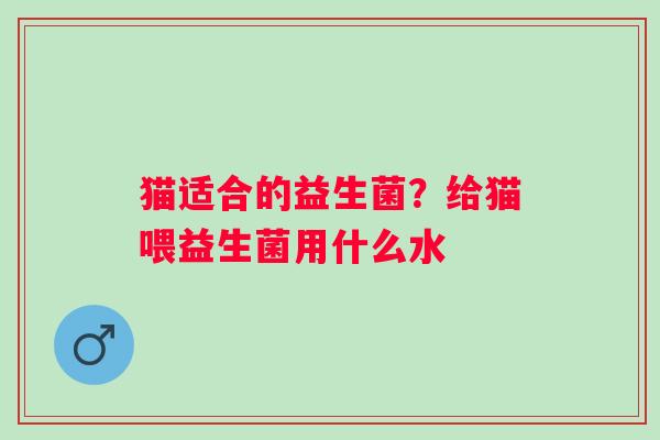 猫适合的益生菌？给猫喂益生菌用什么水