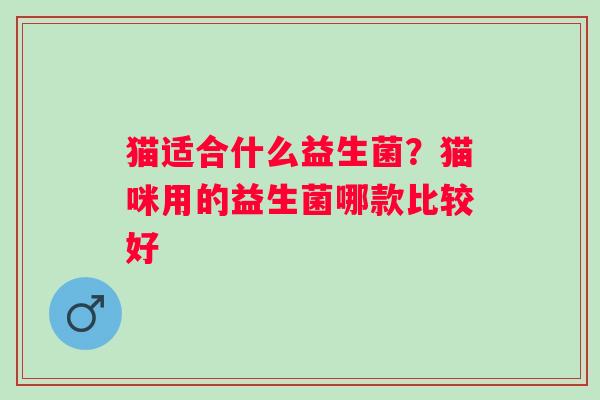 猫适合什么益生菌？猫咪用的益生菌哪款比较好