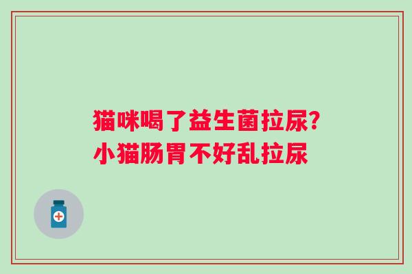 猫咪喝了益生菌拉尿？小猫肠胃不好乱拉尿