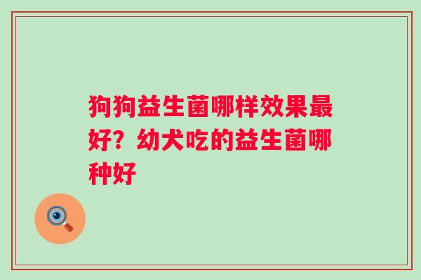 狗狗益生菌哪样效果最好？幼犬吃的益生菌哪种好