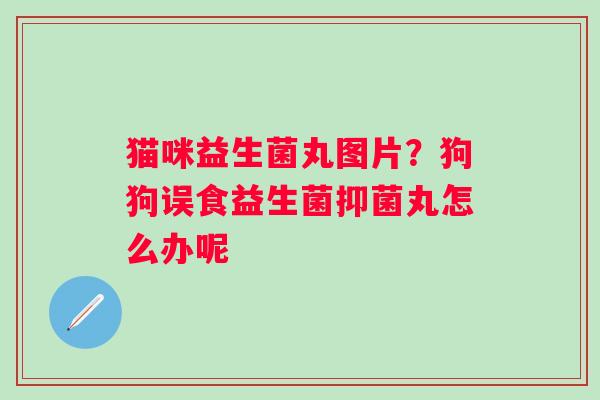 猫咪益生菌丸图片？狗狗误食益生菌抑菌丸怎么办呢