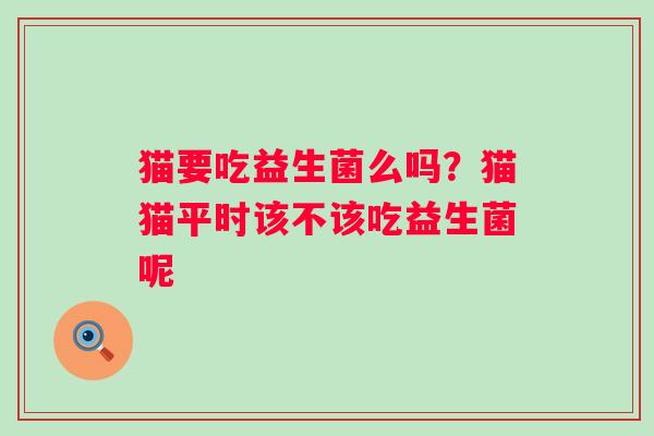 猫要吃益生菌么吗？猫猫平时该不该吃益生菌呢