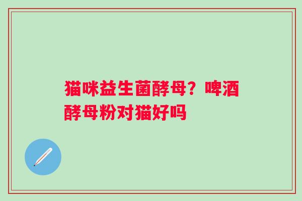 猫咪益生菌酵母？啤酒酵母粉对猫好吗