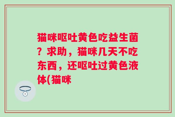 猫咪黄色吃益生菌？求助，猫咪几天不吃东西，还过黄色液体(猫咪