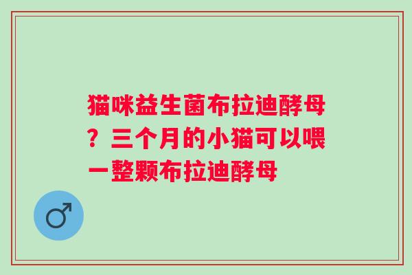 猫咪益生菌布拉迪酵母？三个月的小猫可以喂一整颗布拉迪酵母