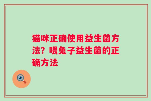 猫咪正确使用益生菌方法？喂兔子益生菌的正确方法