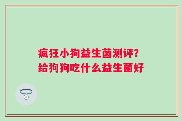 疯狂小狗益生菌测评？给狗狗吃什么益生菌好