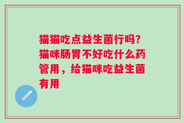 猫猫吃点益生菌行吗？猫咪肠胃不好吃什么药管用，给猫咪吃益生菌有用