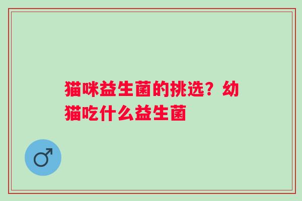 猫咪益生菌的挑选？幼猫吃什么益生菌