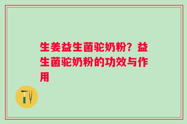 生姜益生菌驼奶粉？益生菌驼奶粉的功效与作用