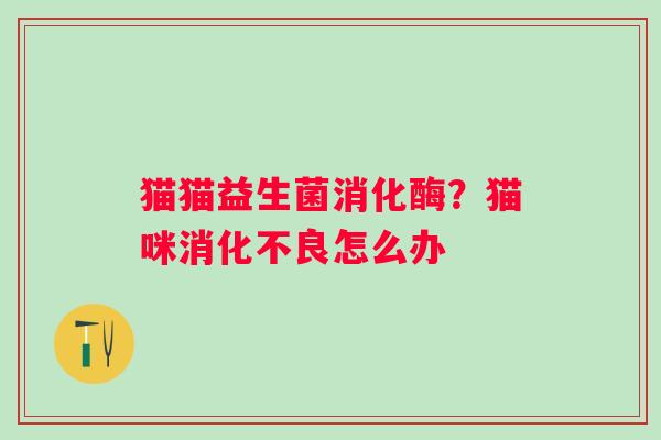 猫猫益生菌消化酶？猫咪消化不良怎么办