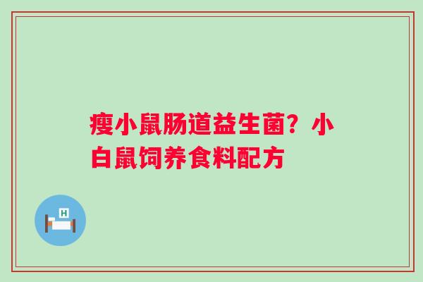 瘦小鼠肠道益生菌？小白鼠饲养食料配方