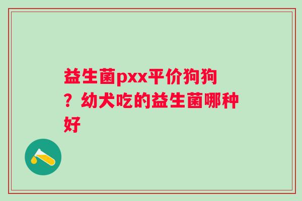 益生菌pxx平价狗狗？幼犬吃的益生菌哪种好