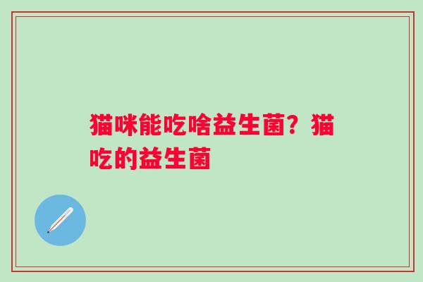 猫咪能吃啥益生菌？猫吃的益生菌