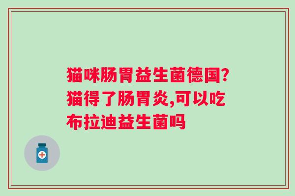 猫咪肠胃益生菌德国？猫得了肠胃炎,可以吃布拉迪益生菌吗