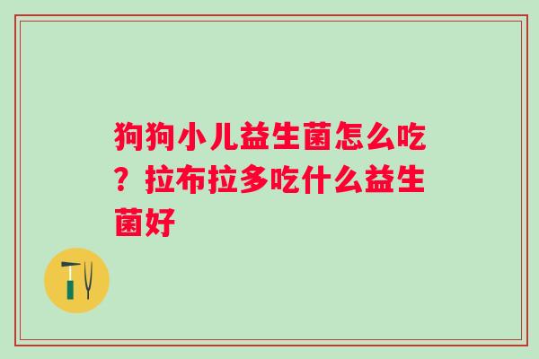 狗狗小儿益生菌怎么吃？拉布拉多吃什么益生菌好