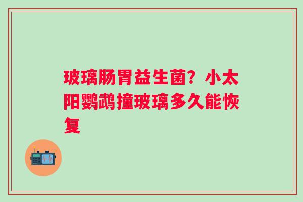 玻璃肠胃益生菌？小太阳鹦鹉撞玻璃多久能恢复