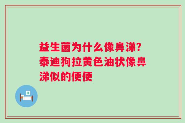 益生菌为什么像鼻涕？泰迪狗拉黄色油状像鼻涕似的便便