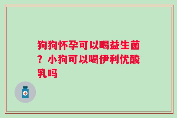 狗狗怀孕可以喝益生菌？小狗可以喝伊利优酸乳吗
