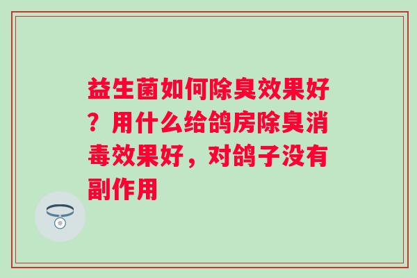 益生菌如何除臭效果好？用什么给鸽房除臭消毒效果好，对鸽子没有副作用