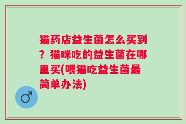 猫药店益生菌怎么买到？猫咪吃的益生菌在哪里买(喂猫吃益生菌最简单办法)