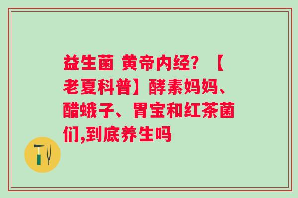 益生菌 黄帝内经？【老夏科普】酵素妈妈、醋蛾子、胃宝和红茶菌们,到底养生吗
