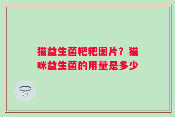 猫益生菌粑粑图片？猫咪益生菌的用量是多少