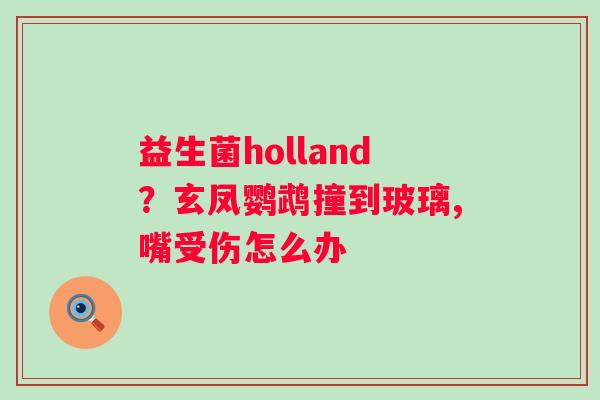 益生菌holland？玄凤鹦鹉撞到玻璃,嘴受伤怎么办