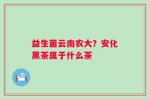 益生菌云南农大？安化黑茶属于什么茶