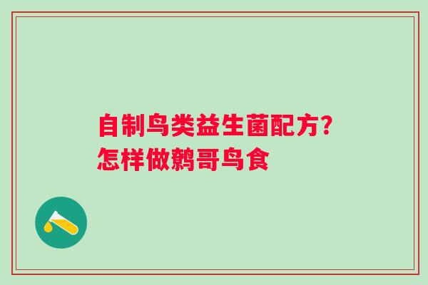 自制鸟类益生菌配方？怎样做鹩哥鸟食