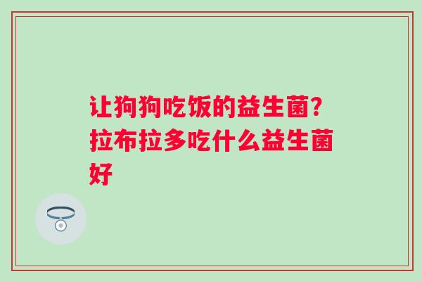 让狗狗吃饭的益生菌？拉布拉多吃什么益生菌好