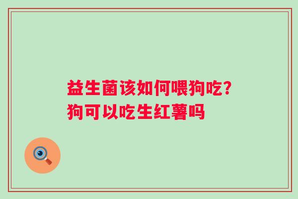 益生菌该如何喂狗吃？狗可以吃生红薯吗