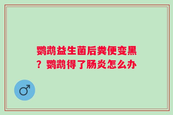 鹦鹉益生菌后粪便变黑？鹦鹉得了肠炎怎么办