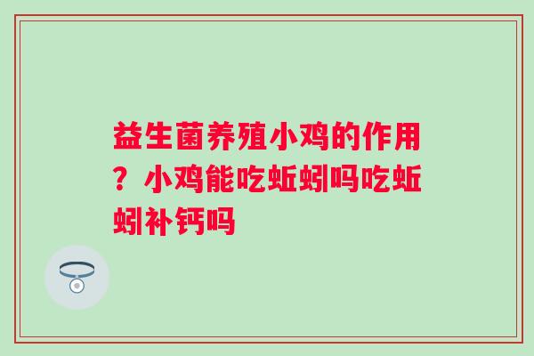 益生菌养殖小鸡的作用？小鸡能吃蚯蚓吗吃蚯蚓补钙吗