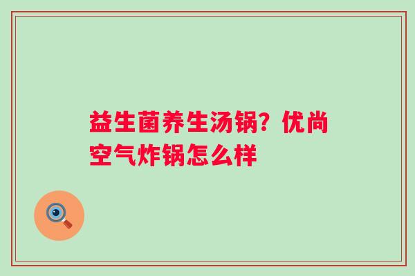益生菌养生汤锅？优尚空气炸锅怎么样