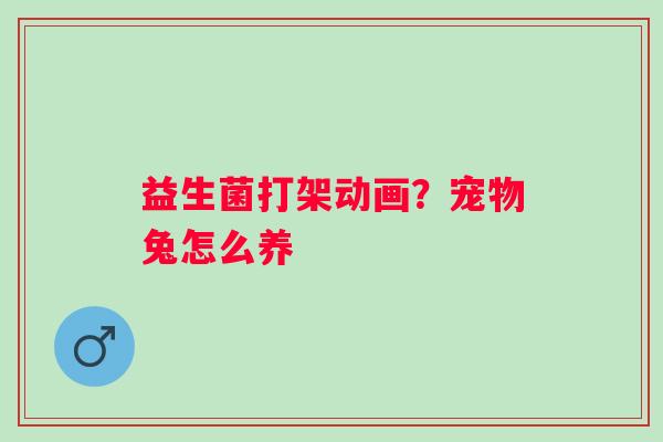 益生菌打架动画？宠物兔怎么养