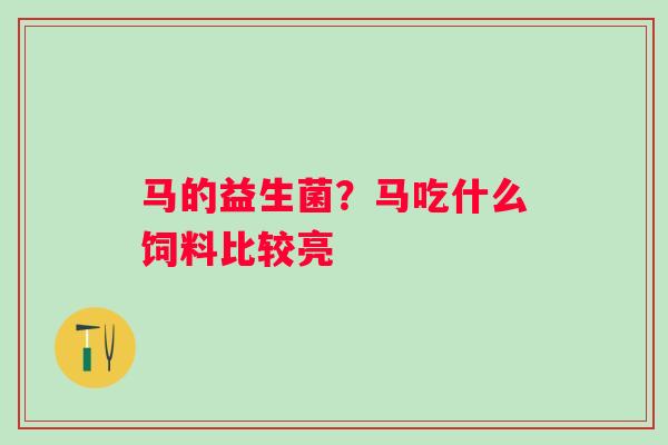 马的益生菌？马吃什么饲料比较亮
