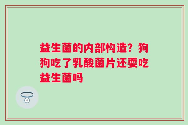 益生菌的内部构造？狗狗吃了乳酸菌片还耍吃益生菌吗