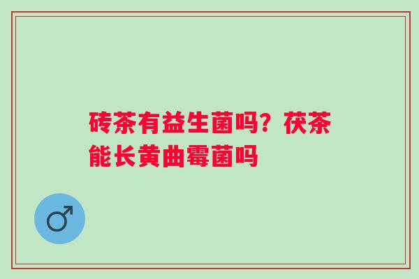 砖茶有益生菌吗？茯茶能长黄曲霉菌吗