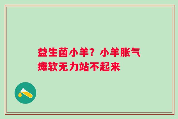 益生菌小羊？小羊胀气瘫软无力站不起来