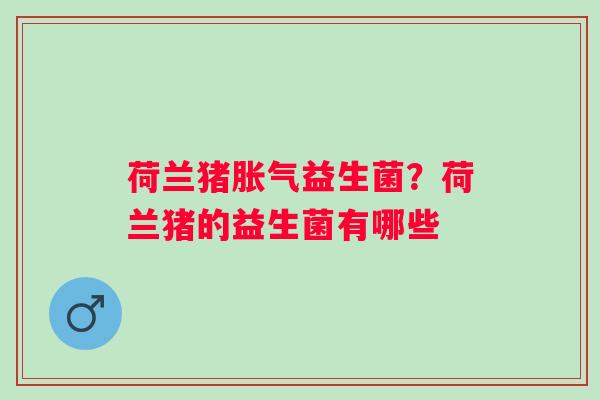 荷兰猪益生菌？荷兰猪的益生菌有哪些