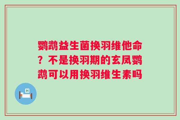 鹦鹉益生菌换羽维他命？不是换羽期的玄凤鹦鹉可以用换羽维生素吗