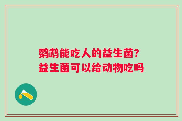鹦鹉能吃人的益生菌？益生菌可以给动物吃吗