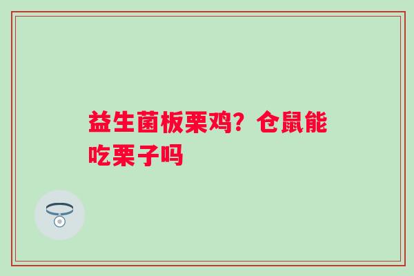 益生菌板栗鸡？仓鼠能吃栗子吗