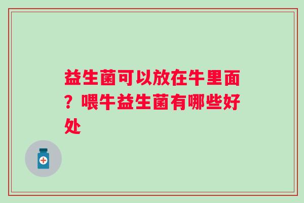 益生菌可以放在牛里面？喂牛益生菌有哪些好处