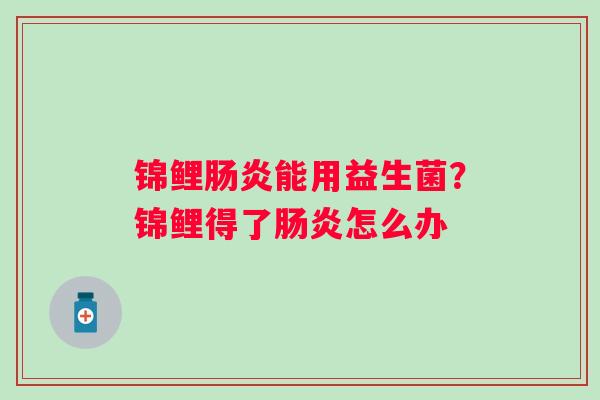 锦鲤肠炎能用益生菌？锦鲤得了肠炎怎么办
