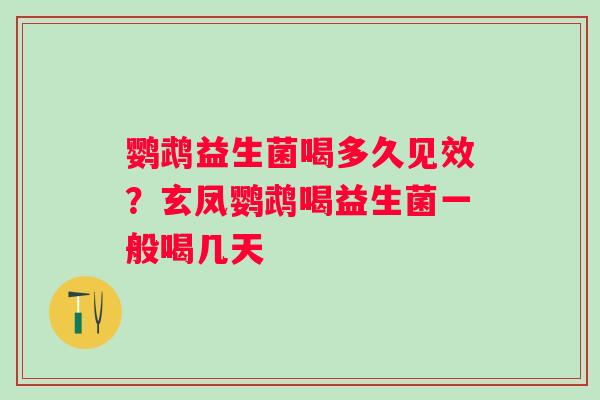 鹦鹉益生菌喝多久见效？玄凤鹦鹉喝益生菌一般喝几天